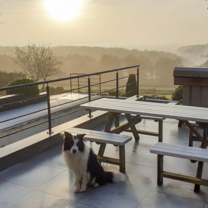 renovation swimming pool Villa Faro Durbuy