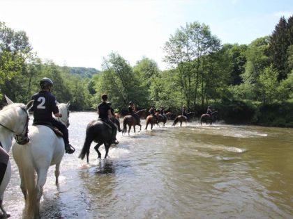vakantiehuis met paardrijden in Durbuy Ardennen